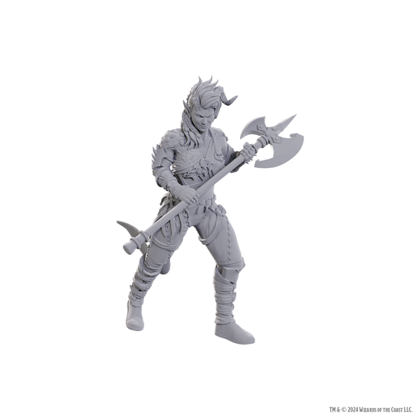 D&D Nolzur's Marvelous Miniatures: Special Edition Baldur's Gate 3