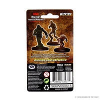 D&D Nolzur's Marvelous Miniatures - Blights