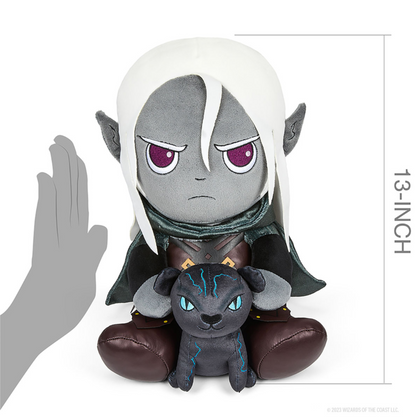 PRE-ORDER - Dungeons & Dragons: Drizzt and Guenhwyvar 13
