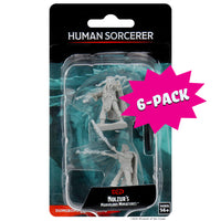 D&D Nolzur’s Marvelous Miniatures: Human Male Sorcerer (Bundle of 6)