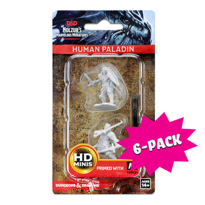 D&D Nolzur’s Marvelous Miniatures: Human Male Paladin (Bundle of 6)