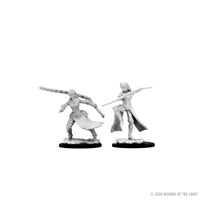 D&D Nolzur’s Marvelous Miniatures: Human Female Monk