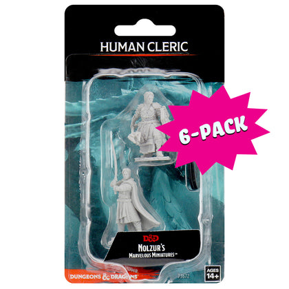 D&D Nolzur's Marvelous Miniatures - Male Human Cleric (Bundle of 6) - Shop Dungeon & Dragons powered by WizKids