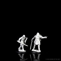BACK-ORDER - D&D Nolzur's Marvelous Miniatures - Male Human Fighter