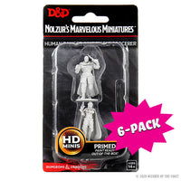 D&D Nolzur's Marvelous Miniatures - Human Ranger & Moon Elf Sorcerer (Bundle of 6)