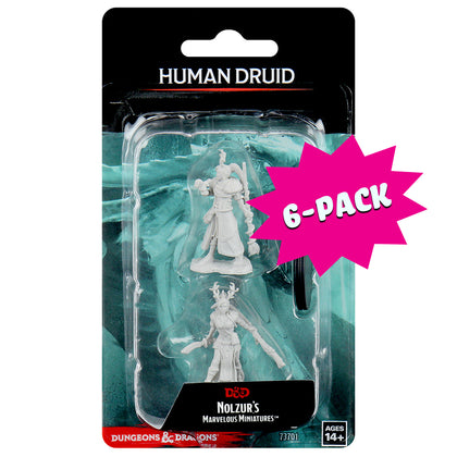 D&D Nolzur's Marvelous Miniatures - Female Human Druid (Bundle of 6) - Shop Dungeon & Dragons powered by WizKids