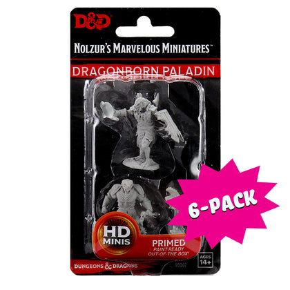 D&D Nolzur's Marvelous Miniatures - Male Dragonborn Paladin (Bundle of 6) - Shop Dungeon & Dragons powered by WizKids