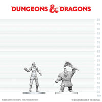 PRE-ORDER - D&D Nolzur's Marvelous Miniatures: Cultist of Bane & Dwarf Zhentilar Soldier