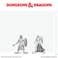 PRE-ORDER - D&D Nolzur's Marvelous Miniatures: Black Gauntlet & Zhentilar Paladin of Bane