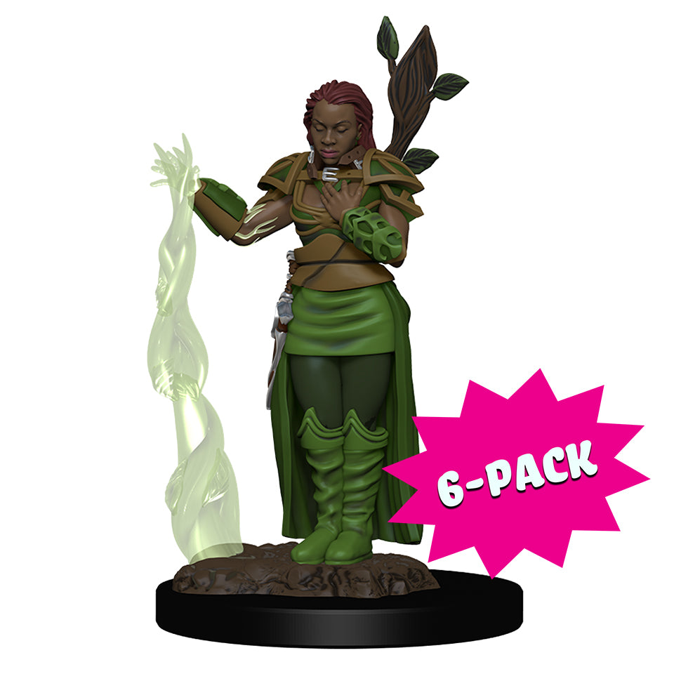 D&D Icons of the Realms Premium Figures: Human Female Druid (Bundle of 6)