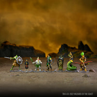 D&D Icons of the Realms: Tomb of Annihilation – Box 2
