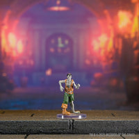 PRE-ORDER - D&D Classic Collection: Monsters U-Z Boxed Set