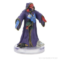 D&D Icons of the Realms: Chromatic Wyrmlings in a Robe Exclusive Miniature