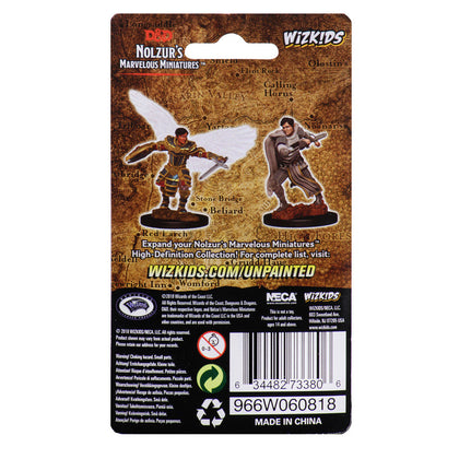 D&D Nolzur's: Aasimar Fighter - 2