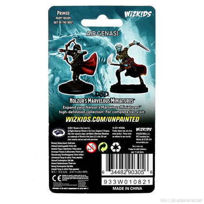 D&D Nolzur's Marvelous Miniatures: Air Genasi Female - 2