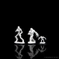 D&D Nolzur's Marvelous Miniatures - Blights
