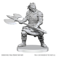 D&D Nolzur's Marvelous Miniatures: Assassin & Berserker