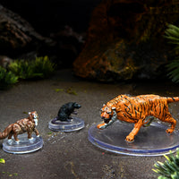 D&D Icons of the Realms: Wild Shape & Polymorph Set 1