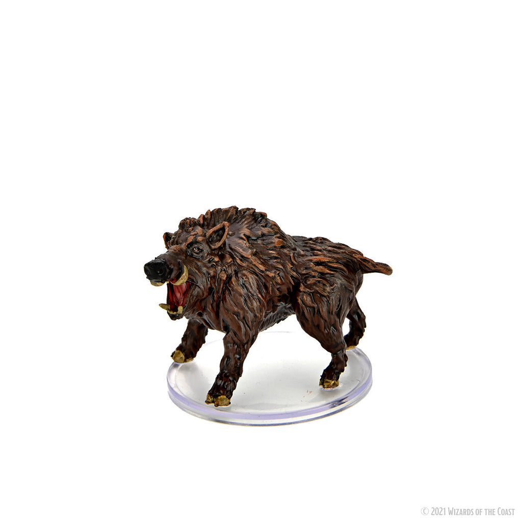D&D Icons of the Realms: Wild Shape & Polymorph Set 1 – Shop Dungeon ...