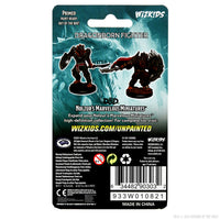 D&D Nolzur's Marvelous Miniatures: Dragonborn Fighter Male