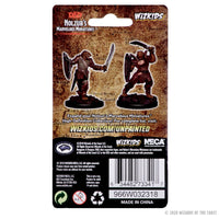 D&D Nolzur's Marvelous Miniatures: Dragonborn Female Paladin