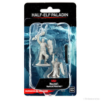 D&D Nolzur's Marvelous Miniatures: Half-Elf Paladin Male