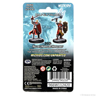 D&D Nolzur's Marvelous Miniatures: Half-Elf Paladin Male