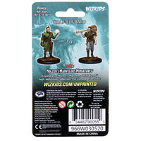 D&D Nolzur's Marvelous Miniatures - Male Half-Elf Bard