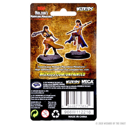 D&D Nolzur’s Marvelous Miniatures: Human Female Monk - 2