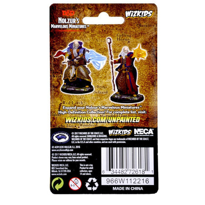 D&D Nolzur’s Marvelous Miniatures: Human Male Wizard - 2