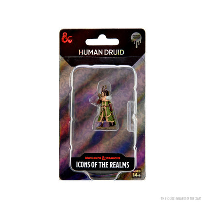 D&D Icons of the Realms Premium Figures: Female Human Druid - 1