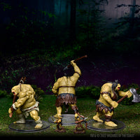 D&D Icons of the Realms: Ogre Warband