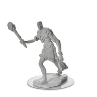 D&D Nolzur's Marvelous Miniatures: Stone Giant