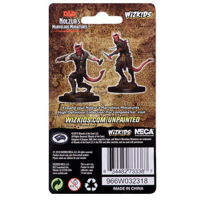 D&D Nolzur's Marvelous Miniatures: Tiefling Male Rogue - 2