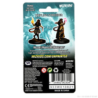 D&D Nolzur's Marvelous Miniatures: Tiefling Sorcerer Female