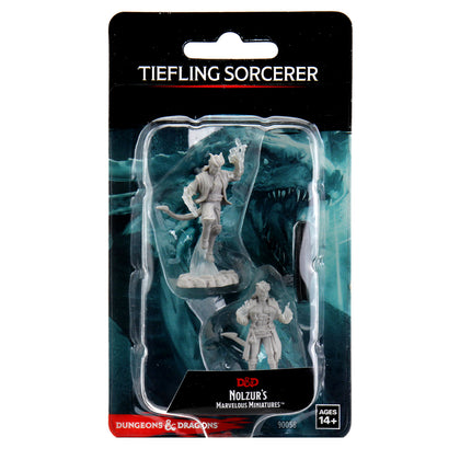 D&D Nolzur's Marvelous Miniatures - Male Tiefling Sorcerer - 1