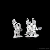 D&D Nolzur's Marvelous Miniatures: Dwarf Male Paladin