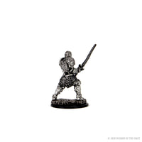 D&D Icons of the Realms Premium Figures: Male Human Fighter - 4