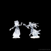 D&D Nolzur's Marvelous Miniatures: Wraith & Specter