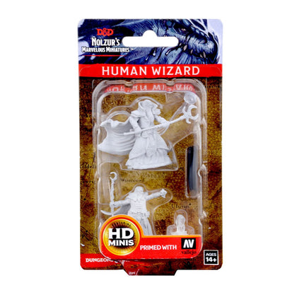 D&D Nolzur’s Marvelous Miniatures: Human Male Wizard - 1
