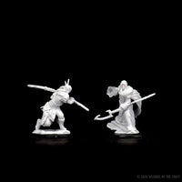 D&D Nolzur's Marvelous Miniatures: Elf Male Druid