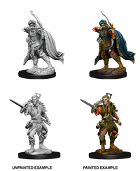 D&D Nolzur's Marvelous Miniatures - Male Elf Rogue