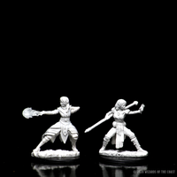 D&D Nolzur's Marvelous Miniatures - Female Half-Elf Monk