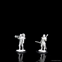 D&D Nolzur's Marvelous Miniatures - Male Half-Elf Bard