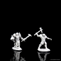 D&D Nolzur's Marvelous Miniatures - Male Dragonborn Paladin - 3