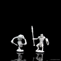 D&D Nolzur's Marvelous Miniatures - Gnoll & Gnoll Flesh Gnawer