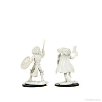 D&D Nolzur's Marvelous Miniatures: Changeling Cleric