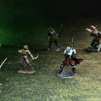D&D Icons of the Realms: Grasslands Battle Mat