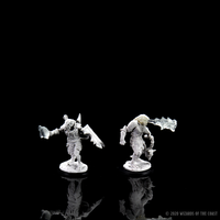 D&D Nolzur's Marvelous Miniatures - Male Dragonborn Paladin