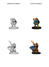 D&D Nolzur’s Marvelous Miniatures: Dwarf Female Wizard